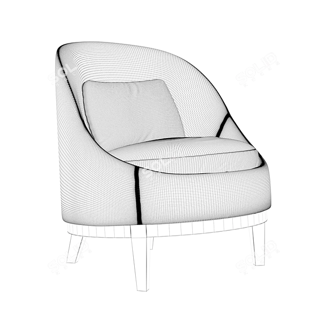 Elegant Belle Armchair by Piet Boon 3D model image 9