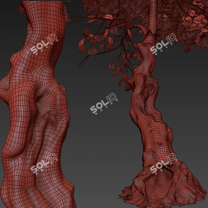 Fiddlewood: Majestic Citharexylum Tree 3D model image 5