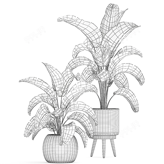 Tropical Paradise Plant Collection 3D model image 5