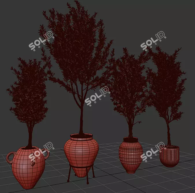 Elegant Indoor Olive Plant Set 3D model image 5