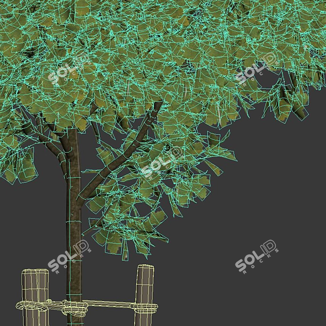 Young Oak Tree Collection: 5 Trees, 3-9m 3D model image 4