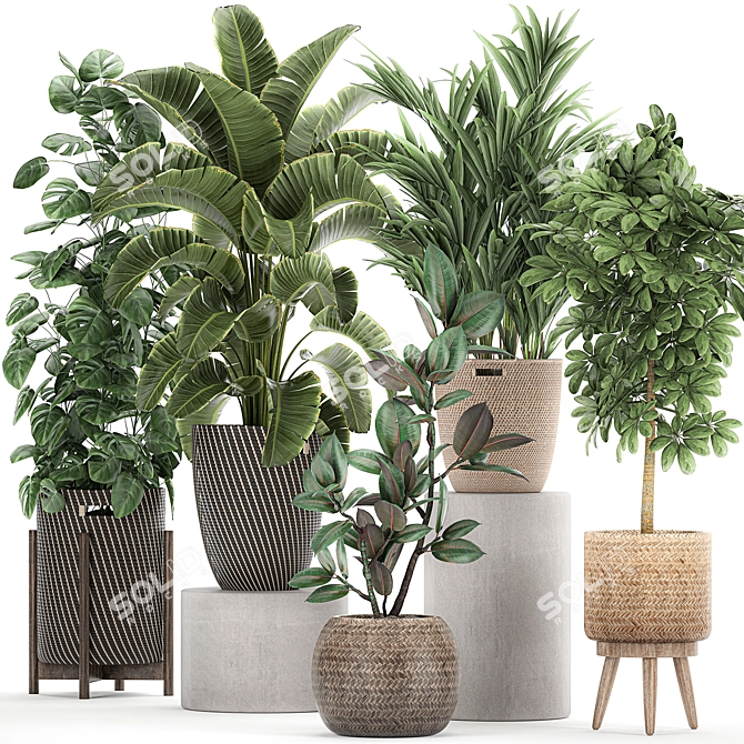 Tropical Plant Collection in Rattan Baskets 3D model image 1