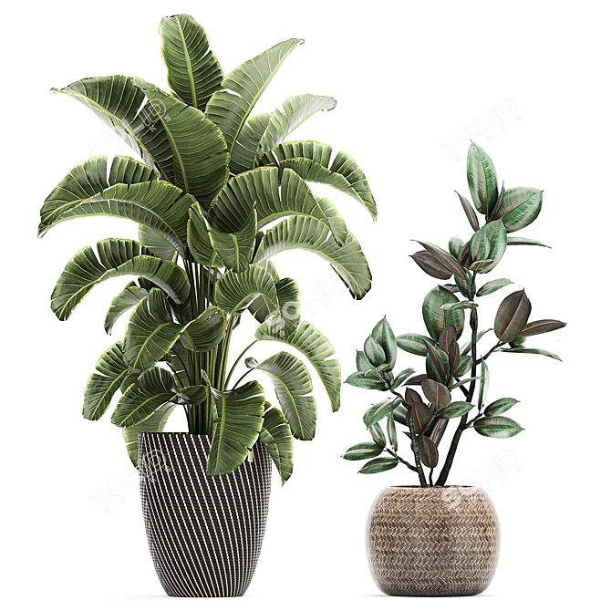 Tropical Plant Collection in Rattan Baskets 3D model image 2