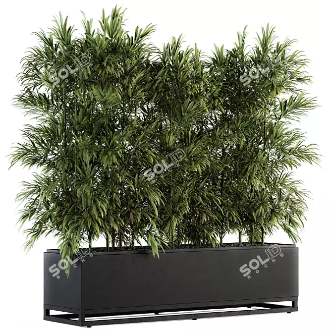 Tropical Vibes: Palm in Plant Box 3D model image 1