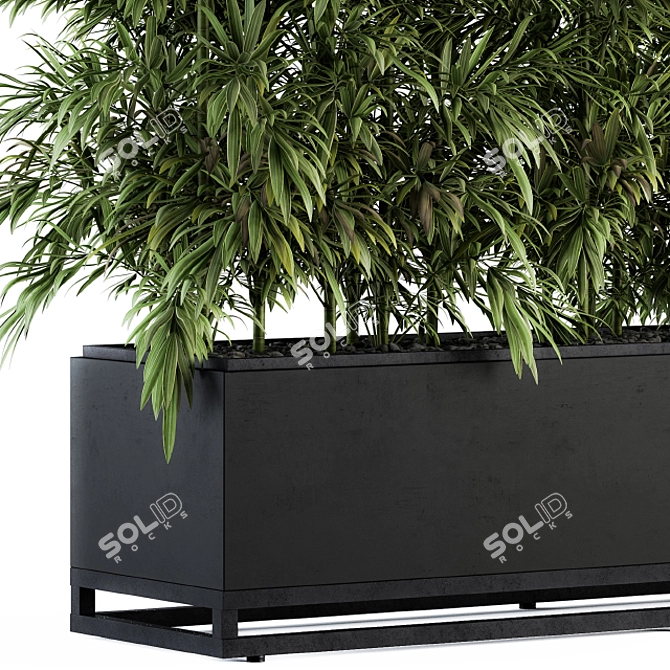 Tropical Vibes: Palm in Plant Box 3D model image 2