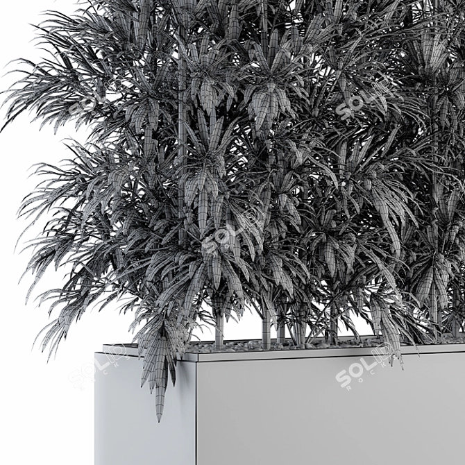 Tropical Vibes: Palm in Plant Box 3D model image 5