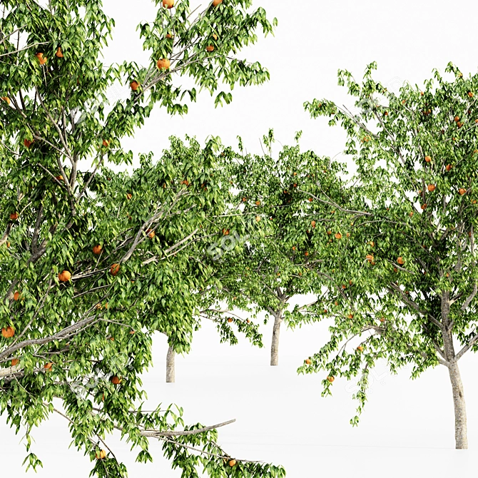  Lush Peach Tree Collection 3D model image 2