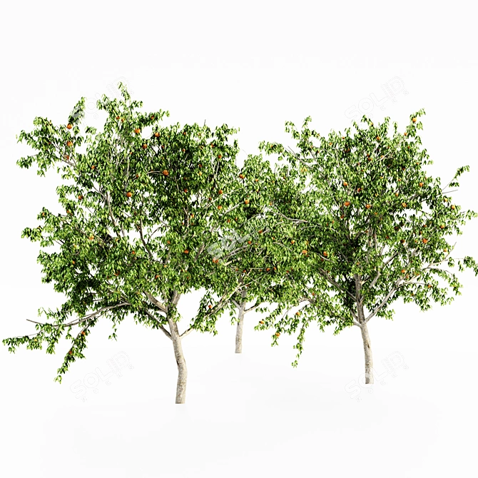  Lush Peach Tree Collection 3D model image 4