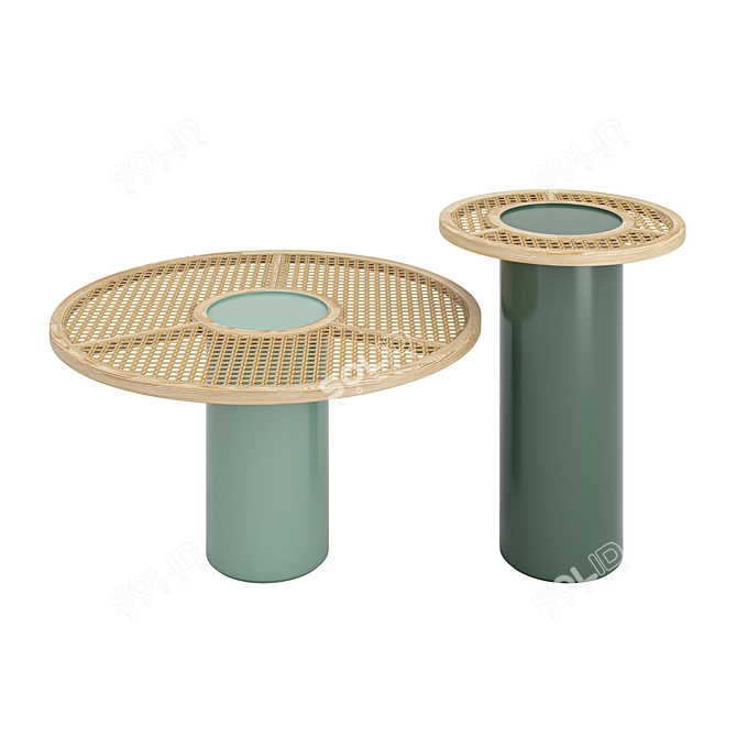 Stylish Ash and Cane Chand Tables 3D model image 1