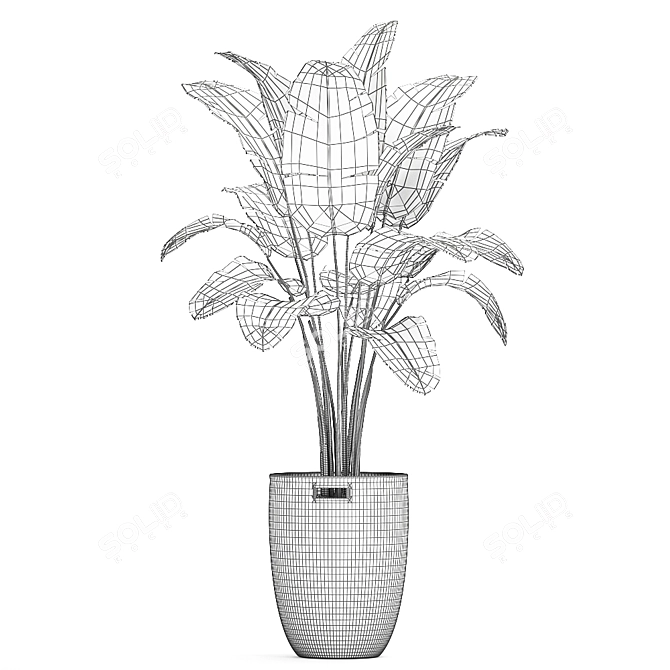 Tropical Banana Palm in Rattan Basket 3D model image 5