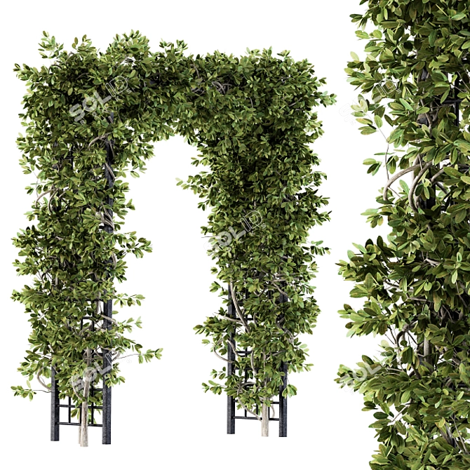 Pergola Ivy Set: Outdoor Beauty 3D model image 1