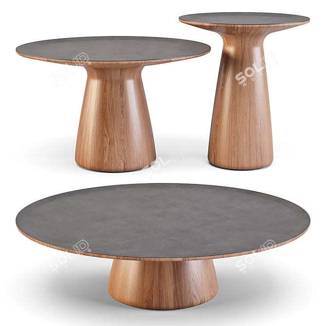 Walter Knoll Foster: Elegant Coffee & Side Tables 3D model image 1