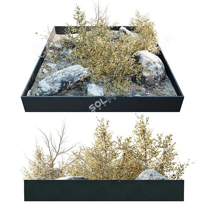 Rocky Base Dry Plants Sculpture 3D model image 2