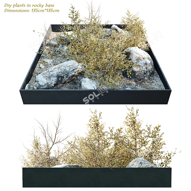 Rocky Base Dry Plants Sculpture 3D model image 4