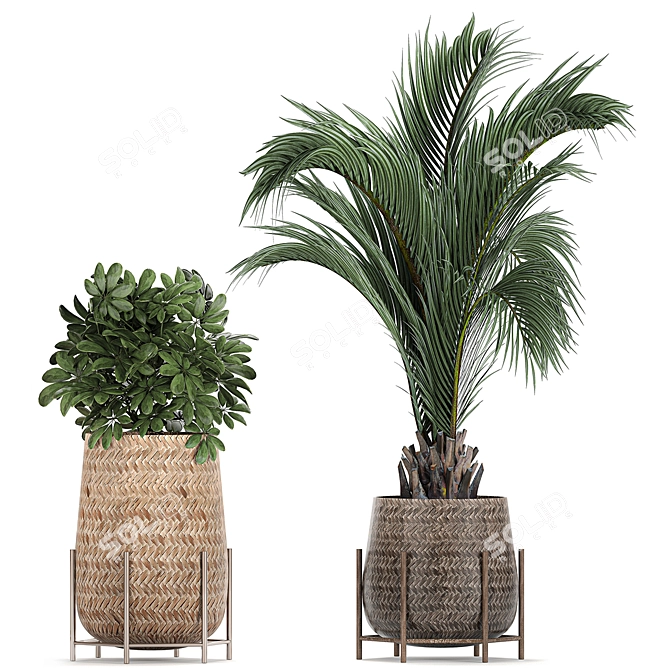Tropical Plant Collection: Exotic & Indoor Plants in Rattan Basket 3D model image 2