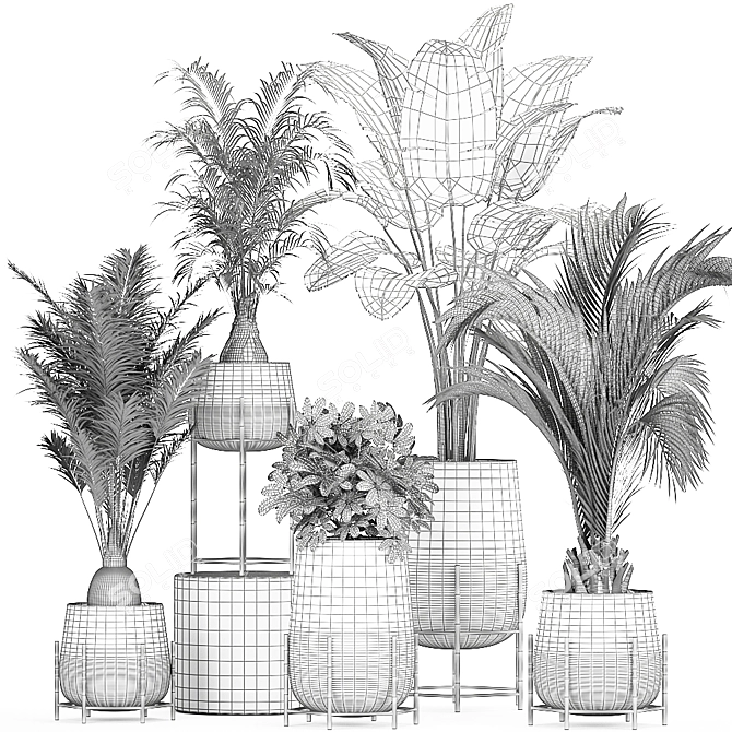 Tropical Plant Collection: Exotic & Indoor Plants in Rattan Basket 3D model image 5