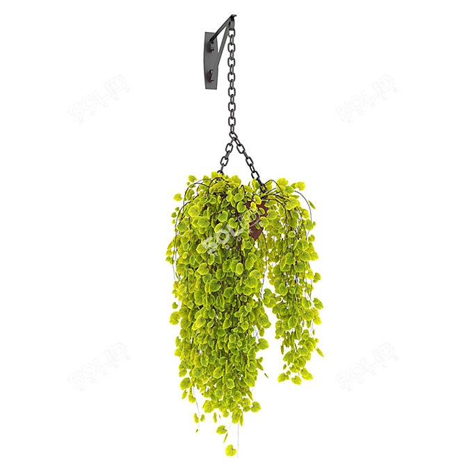 Botanic Bliss - Hanging Garden Collection 3D model image 4