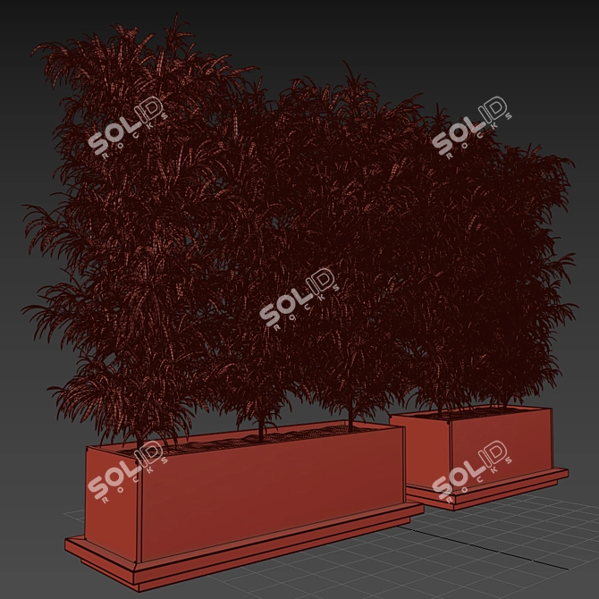 Tropical Palm Plant in Box 3D model image 3