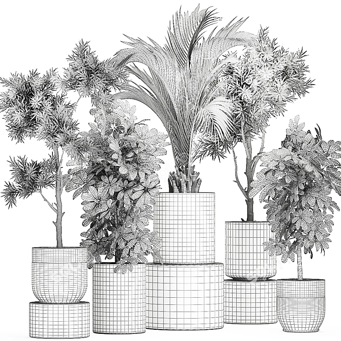 Tropical Plant Collection: Exotic & Decorative 3D model image 5