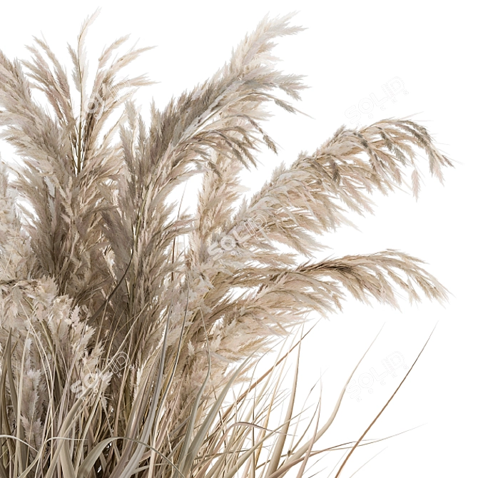 Botanical Bliss: Indoor Dried Plant Set 3D model image 2