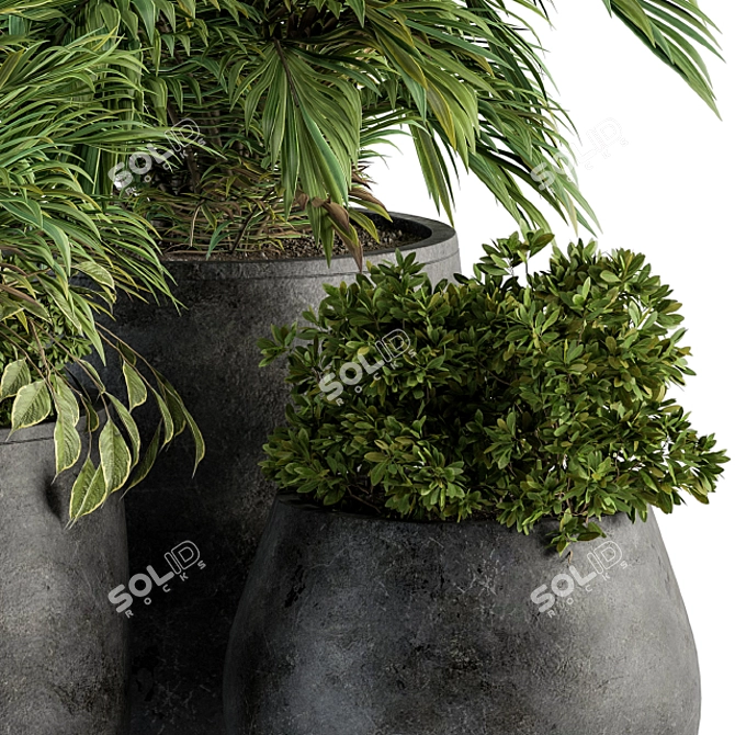 Lush Greenery Set: Black Pot 3D model image 2