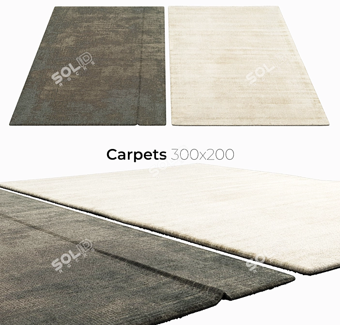 Luxury Interiors: Exquisite Carpets 3D model image 1