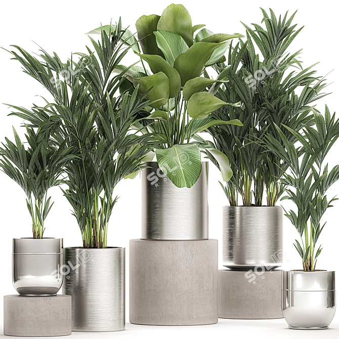 Exotic Plant Collection: Chrome Vases 3D model image 1