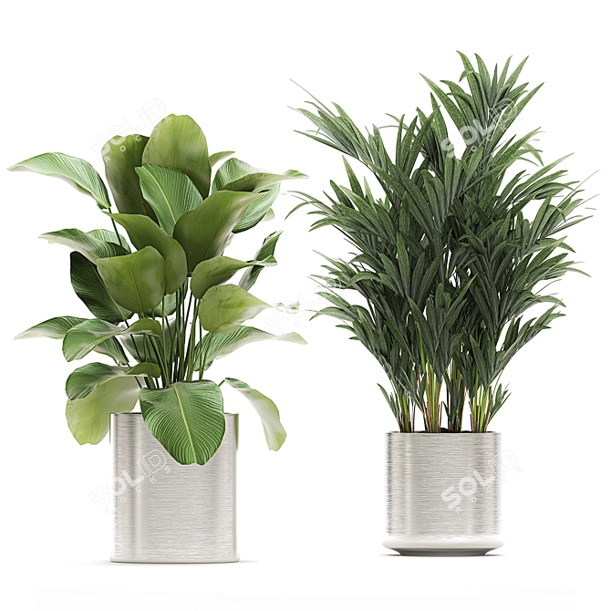 Exotic Plant Collection: Chrome Vases 3D model image 2