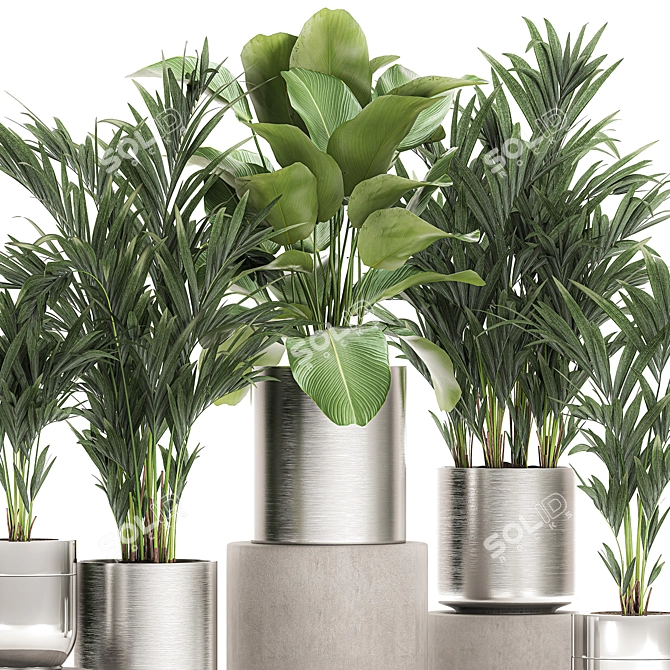 Exotic Plant Collection: Chrome Vases 3D model image 3