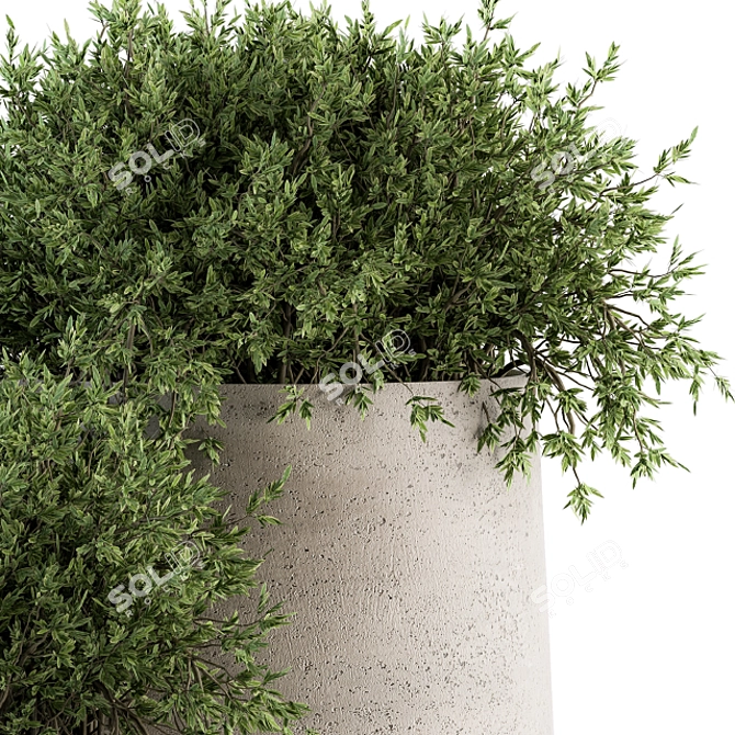 Concrete Pot Outdoor Tree Set 3D model image 2