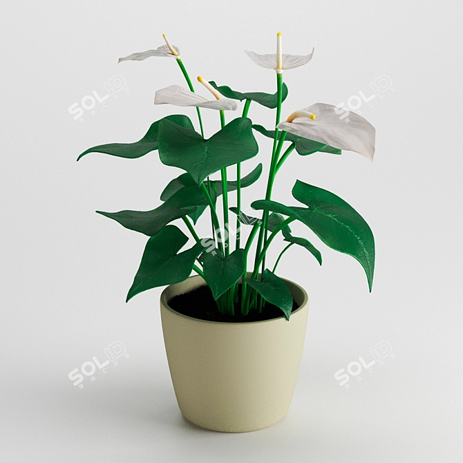 Tropical Beauty: Anthurium Plant 3D model image 1