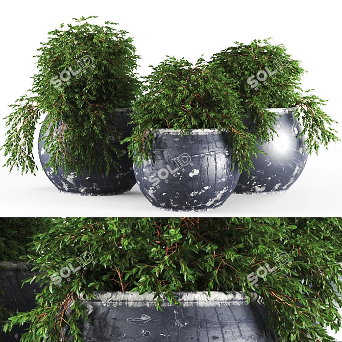 Unique 4K Textured Plant 3D model image 1