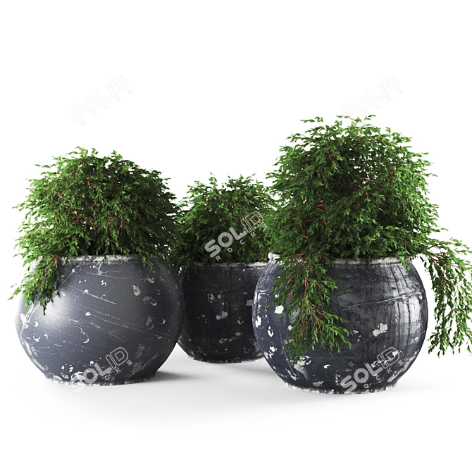 Unique 4K Textured Plant 3D model image 2