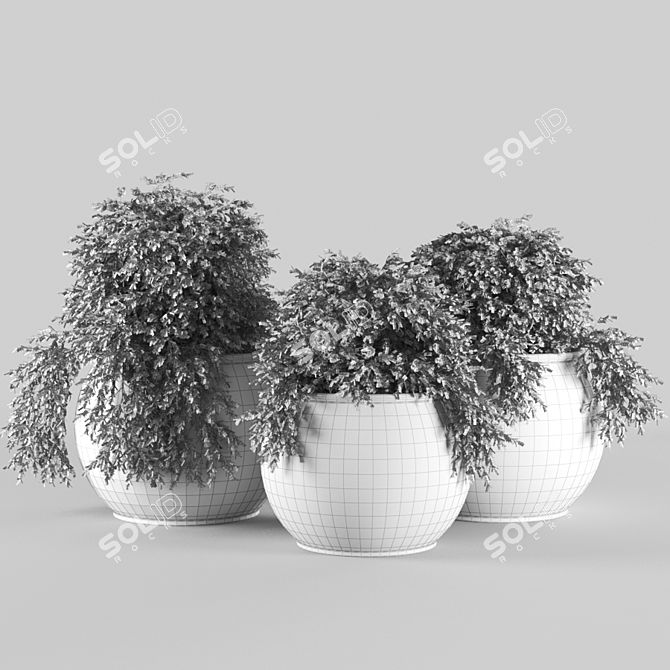 Unique 4K Textured Plant 3D model image 3