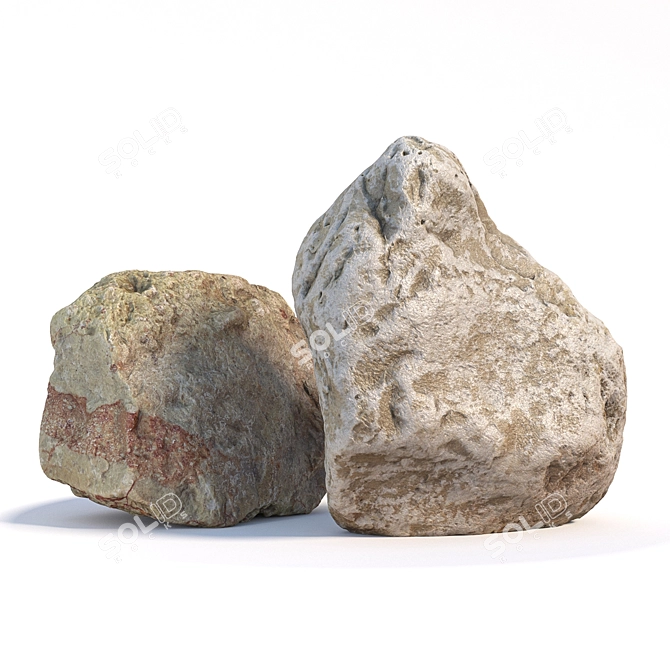 360° Scanned Stones for Landscaping 3D model image 1