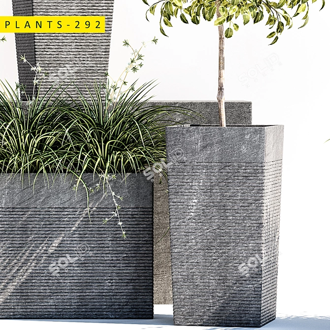 Outdoor Stones Collection: Plants 292 3D model image 4