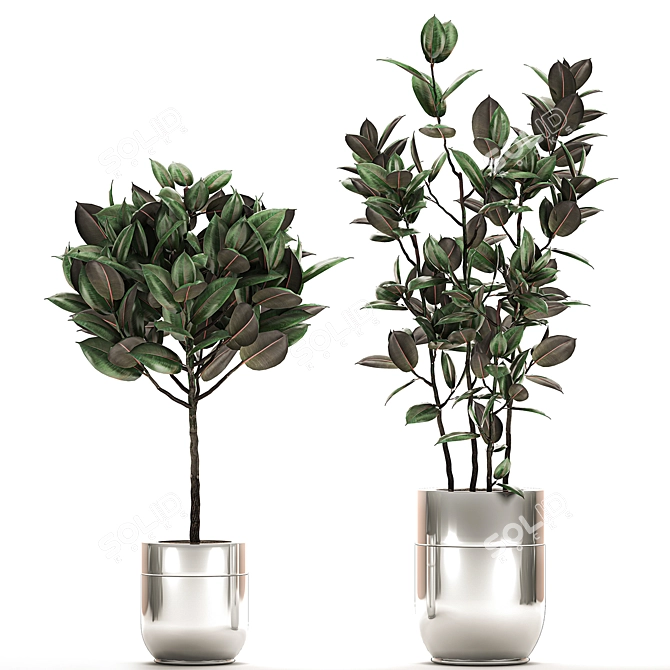 Chroma Plant Collection 3D model image 1