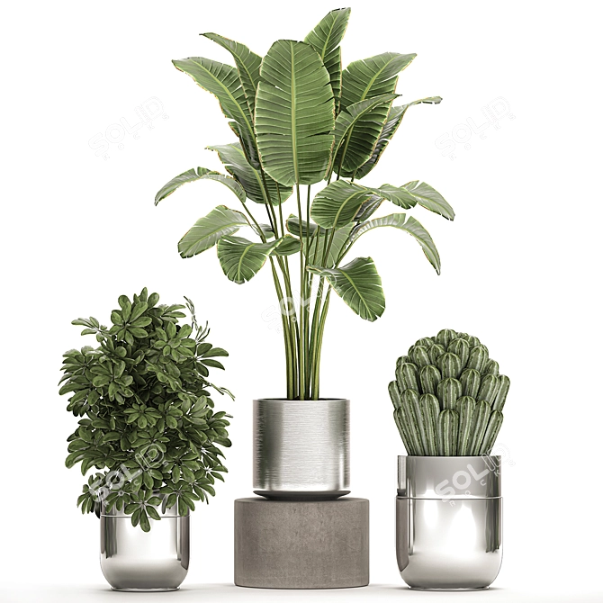 Tropical Chrome Plant Collection 3D model image 1