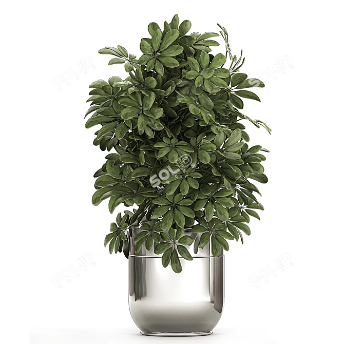 Tropical Chrome Plant Collection 3D model image 2