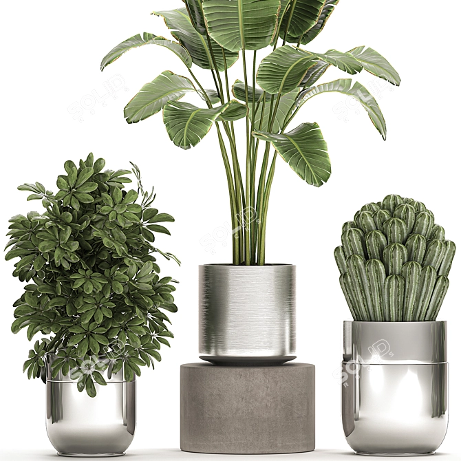 Tropical Chrome Plant Collection 3D model image 4