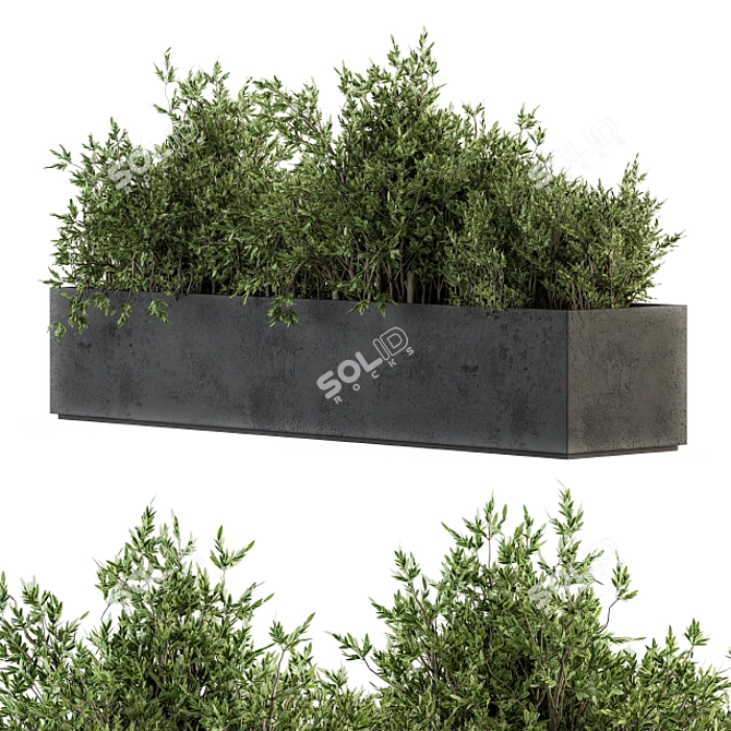 Concrete Box Outdoor Tree Set 3D model image 2