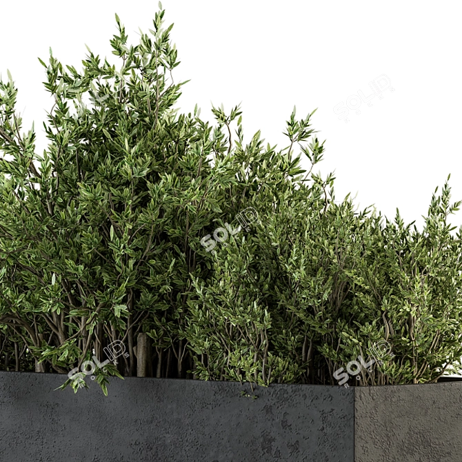 Concrete Box Outdoor Tree Set 3D model image 4