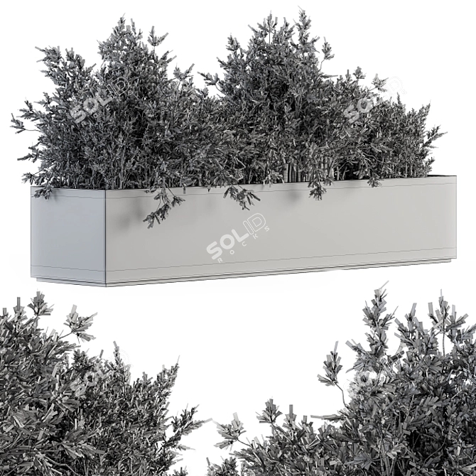 Concrete Box Outdoor Tree Set 3D model image 5