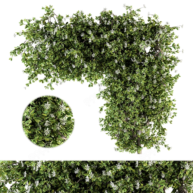 120 Ivy Plants Set - Perfect for Outdoor 3D model image 1