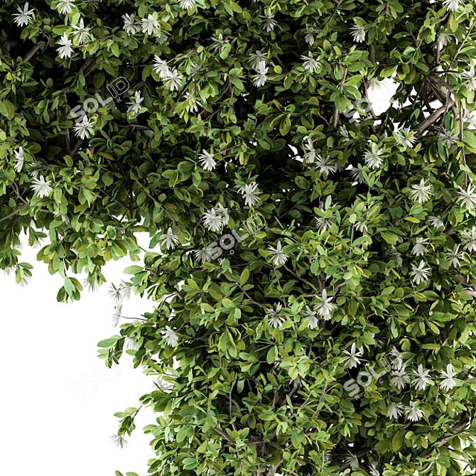 120 Ivy Plants Set - Perfect for Outdoor 3D model image 2