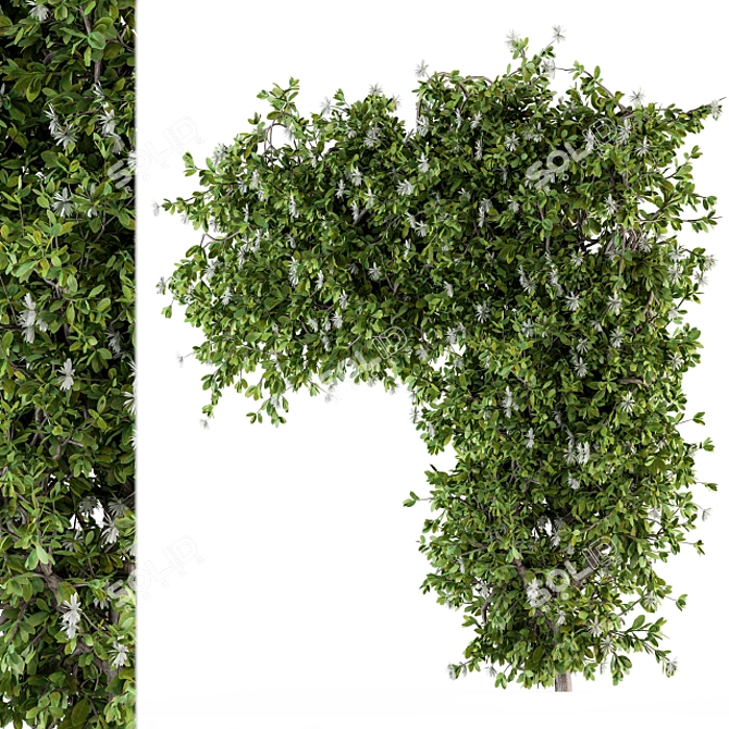 120 Ivy Plants Set - Perfect for Outdoor 3D model image 3