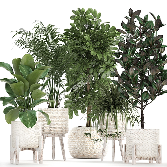 Exotic Plant Collection in Rattan Baskets 3D model image 1