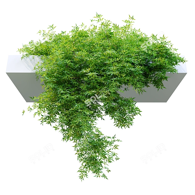 Hanging Plant - Corolla FBX 3D model image 3