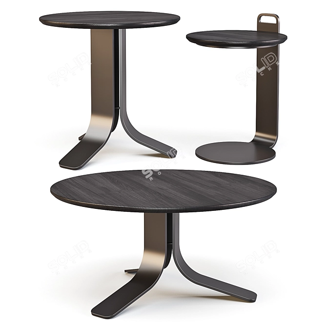 Isla Coffee & Side Tables by Gan Rugs 3D model image 2