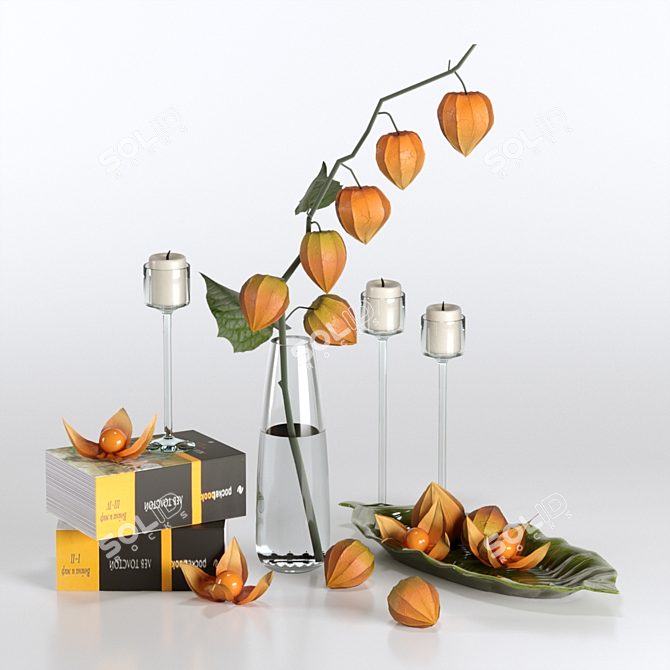 Elegant Physalis Decor Set 3D model image 1